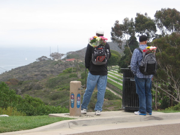These two guys had bouquets in their backpacks. They are gazing along the Point Loma peninsula in the direction of Cabrillo National Monument.