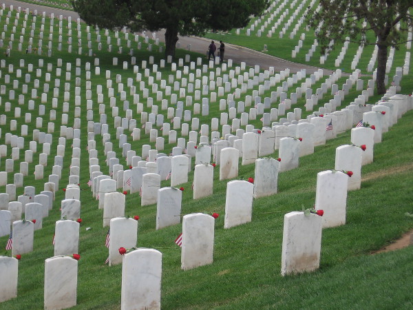 A deeply moving sight. Solemn rows of white on rolling green hills. Volunteers have adorned every grave with an American flag and rose.
