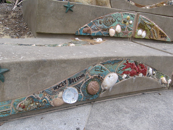 Upon the rocky ocean bottom, one might find Green Abalone.