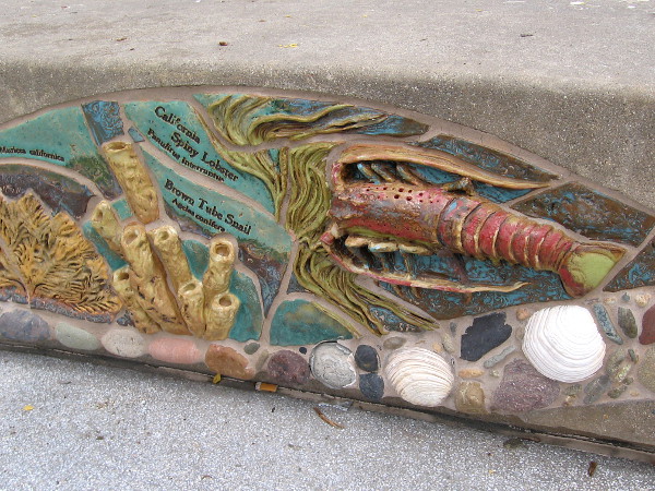 Brown Tube Snail and California Spiny Lobster.