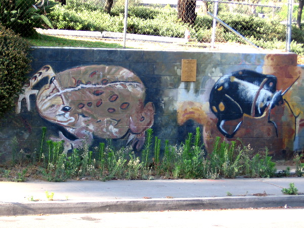 Looks to me like a toad and a beetle. If you can accurately identify these creatures, feel free to leave a quick comment!