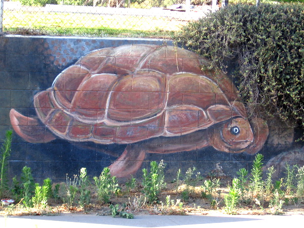 That looks to me like a turtle--or a tortoise! It's obvious I still have a whole lot to learn!