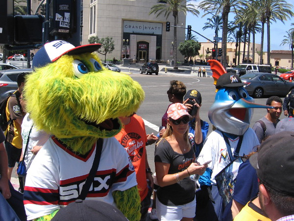 Before the official start of the 2016 MLB All-Star Game Red Carpet Parade, team mascots begin down the route through downtown San Diego.