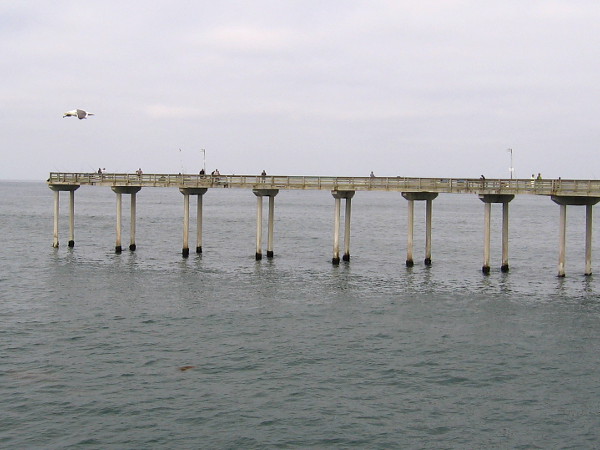 A gull and the OB Pier hover over the restless ocean. This 180 feet extension of the south arm at the pier's end was added at a later time, and remains a favorite spot for fishing way out where the water is around 30 feet deep.