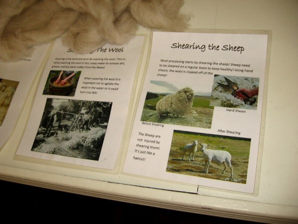 One display explains shearing sheep for wool, then carding, combing, and spinning wool.