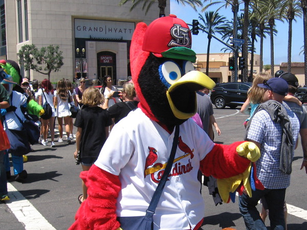 Fredbird of the St. Louis Cardinals heads across Harbor Drive from the Manchester Grand Hyatt.
