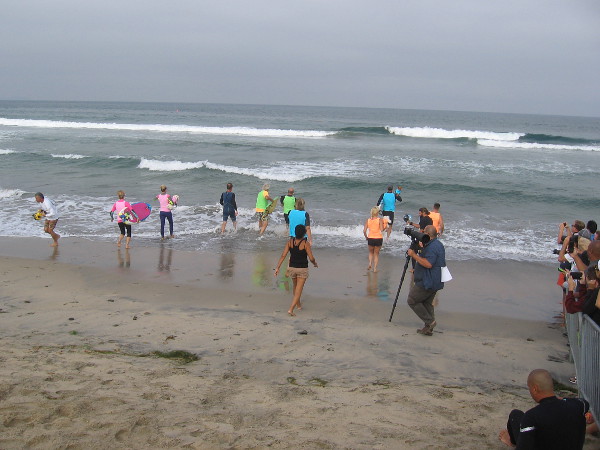 The excitement has built to a doggone unbelievable level. Which four-legged contestant will catch the best waves and impress the judges?