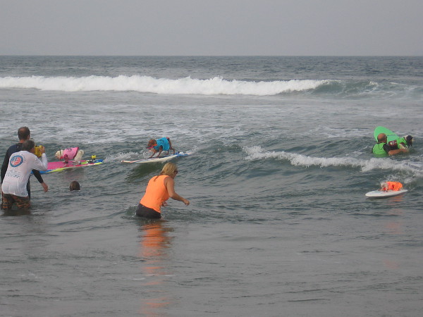 Oh my goodness! Three dogs on one wave! Remember this moment, because you'll probably never see it again!