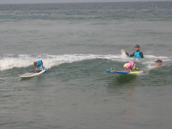 Two furry athletes vie for surfing supremacy.