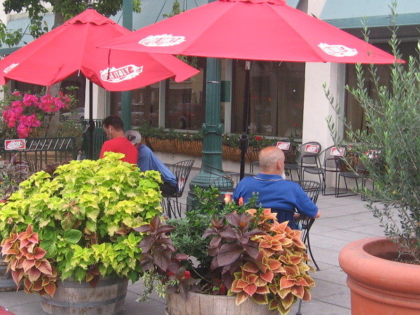 A quiet moment before the day's business begins.