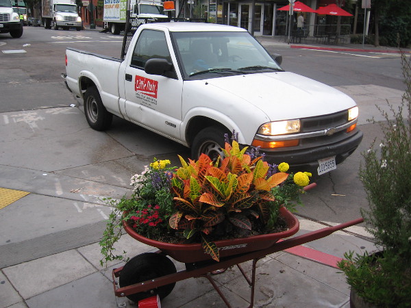 A Little Italy Association maintenance truck has pulled up beside a wheelbarrow full of flowers.