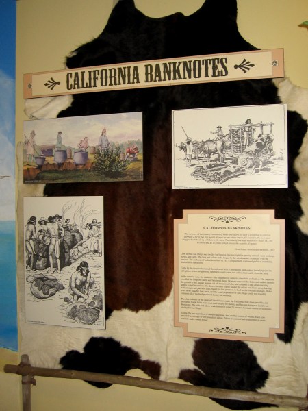 Cattle by the thousands roamed San Diego's hills. Their dried hides were used in trade and were sometimes referred to as California banknotes.