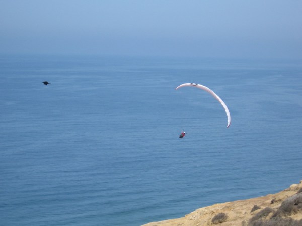 And he's off, among the birds!