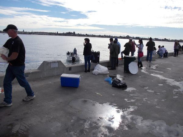 Saturday morning on the pier near the Tuna Harbor Dockside Market.