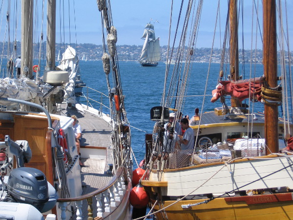 Out on the big bay and along the Embarcadero, many beautiful sailing ships are part of this year's annual Festival of Sail in San Diego.
