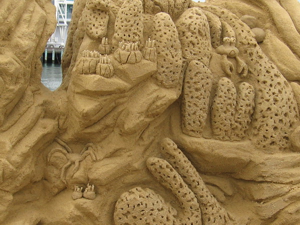A close-up photo of some marine life living in a coral reef made of carved sand--on a pier!