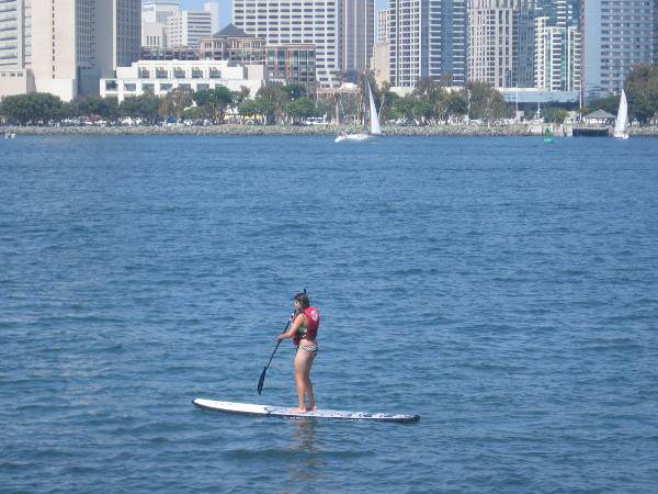 A standup paddleboarder off Coronado, sailboats and the San Diego skyline in the background.
