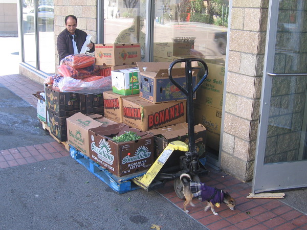 Early morning produce is ready to deliver in East Village.