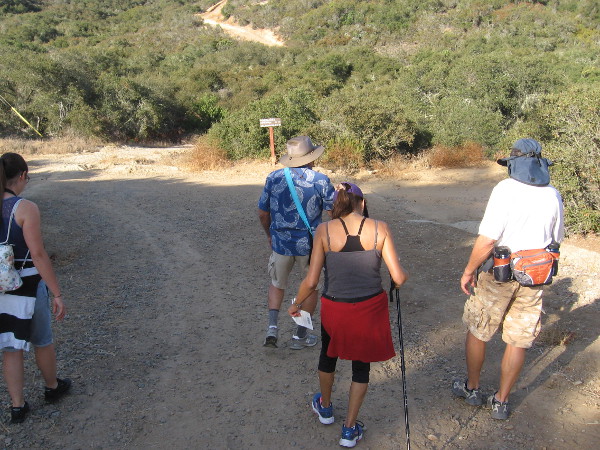 Naturalist Mike Kelly leads a small group of hikers into Los Peñasquitos Canyon Preserve from the Del Mar Mesa trailhead.