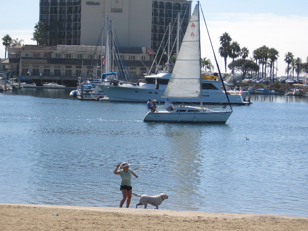 Playing catch with a dog on the small beach at Spanish Landing Park. A sailboat moves through Harbor Island's West Basin, heading out to San Diego Bay.