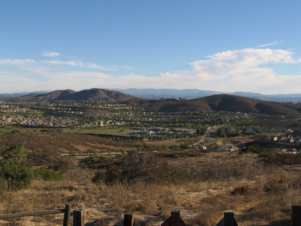 A pleasant view from the Jas Arnold Trail For All People on Black Mountain.