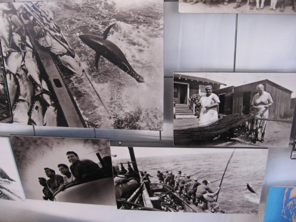 Historical photos of Little Italy fishermen at work off the coast of San Diego.