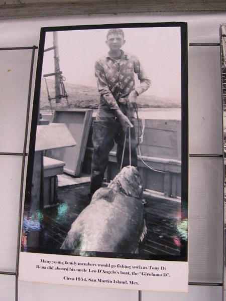 Photo of young man on a boat with a very large catch.