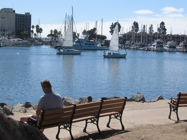 Many benches along Spanish Landing Park provide views of the peaceful water and Harbor Island.