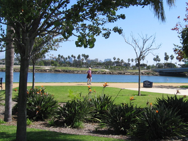 Looking eastward from the west side of the boat channel. A new park will soon open across the water!