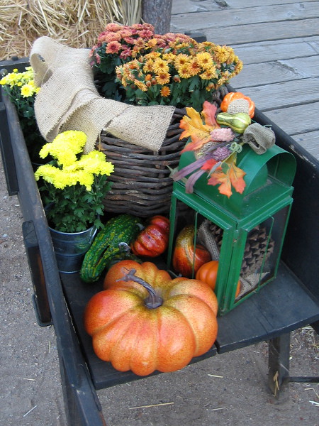 A beautiful arrangement of flowers, pumpkins and gourds graces a rustic Old Town boardwalk.