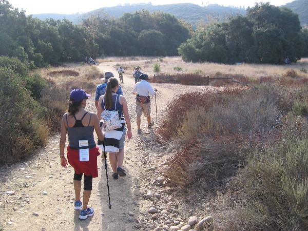 Approaching the central part of the long, narrow canyon, which runs from Poway west to the Pacific Ocean. Peñasquitos Creek lies beyond those coast live oaks in the distance.