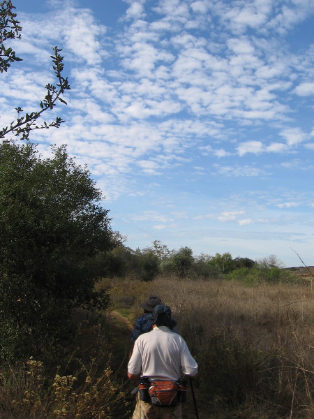 Walking slowly, senses alert. I smell the nearby sagebrush. I hear acorn woodpeckers and quail. I see beautiful clouds.