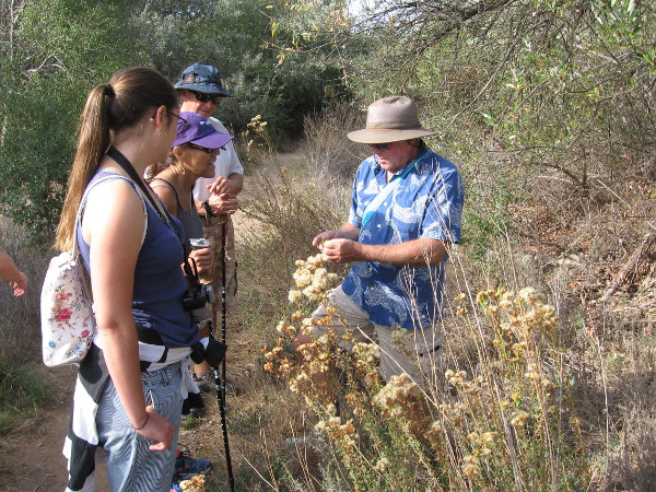 Mike Kelly is a guide and activist whose knowledge of Peñasquitos is deep. Here he shows us some poison oak which is growing a short distance off the trail.