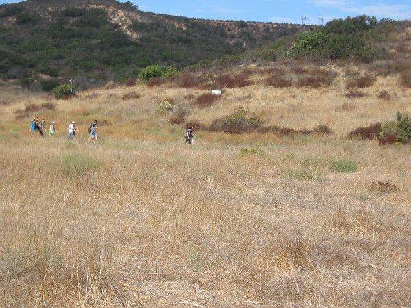 Los Peñasquitos Canyon Preserve is a very popular place for jogging, hiking and mountain biking. Even marathoners use it for training.