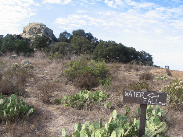 I see lots of prickly pear cacti. Now we are getting close to the popular waterfall!
