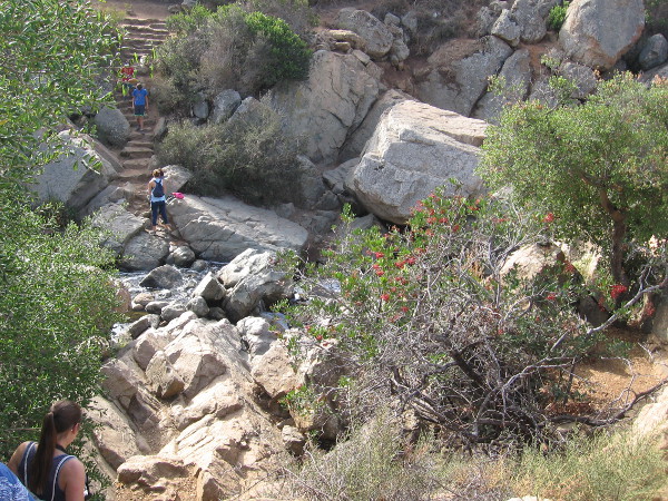 Descending rough stone steps to the waterfall. I learned the steps were a project of an Eagle Boy Scout.