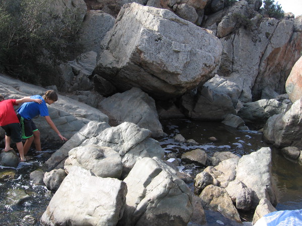 The small waterfall and its rocky pools are located near the center of Los Peñasquitos Canyon. It is the destination of many hikes. A great place to relax, cool off, and listen to the soothing water.
