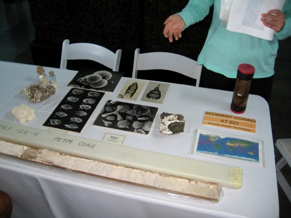 These examples of what is found when taking sediment cores on the ocean floor include tiny elegant Radiolaria.