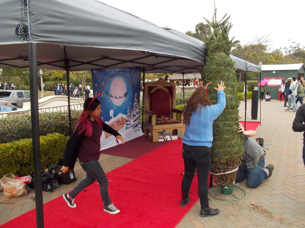 Getting a Christmas tree ready where Santa will sit in the evening, after nightfall.