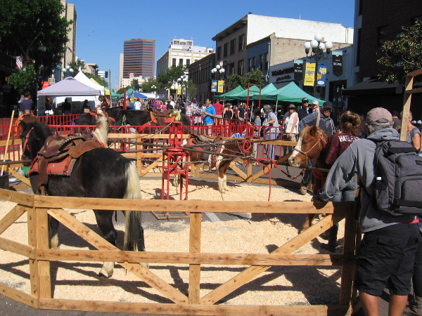 Horse rides in San Diego's Gaslamp Quarter. One of many fun attractions at the Fall Back Festival and Historic Children’s Street Faire.