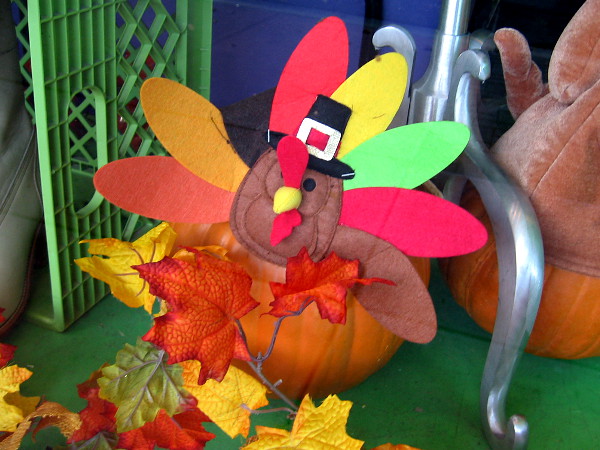 A turkey (or two) is lurking in San Diego. It seems that Thanksgiving is fast approaching!