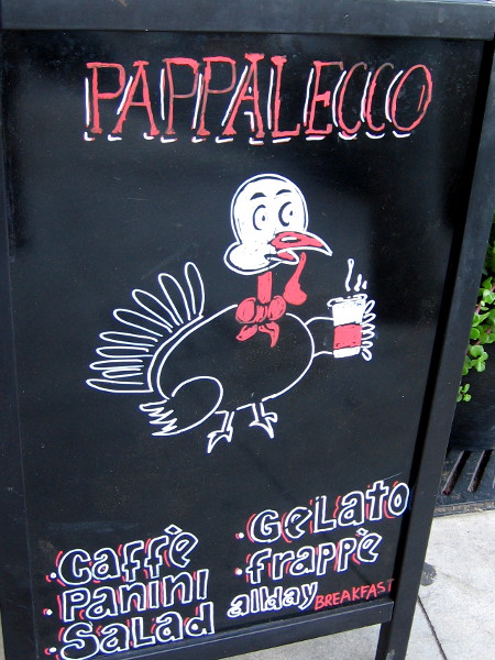 I spotted a turkey drinking coffee as I walked down a sidewalk.