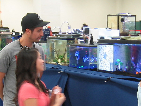 People enjoy unusual aquarium displays at the San Diego Tropical Fish Society Annual Show in Balboa Park.