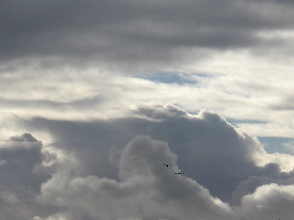 Storm clouds above downtown San Diego. Christmas is coming, but so is winter.