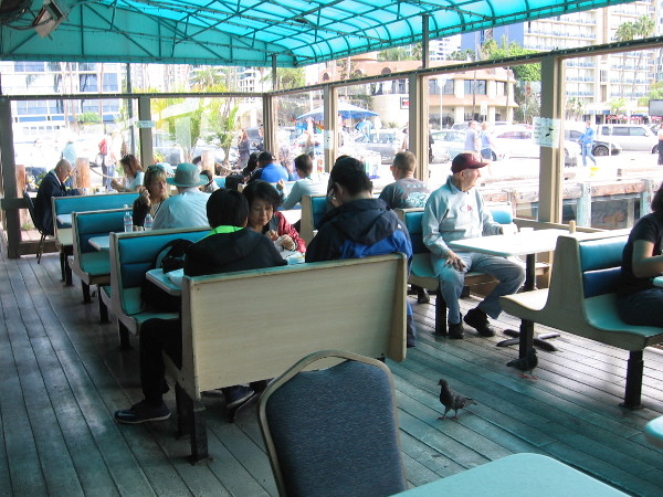 Eating seafood on benches inside a protected area of the informal outdoor Fishette, over the gently lapping water of San Diego Bay.