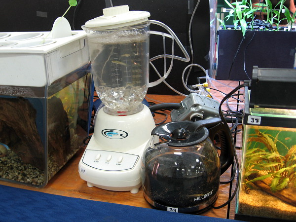 An old blender or coffee maker make for fine tropical fish aquariums, I suppose. Just don't turn them on.
