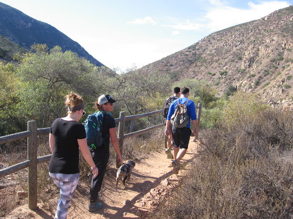 Walking along the Oak Canyon Trail. Mission Trails Regional Park is like a small wilderness in the city of San Diego. At 5,800 acres, it's the largest city park in California.