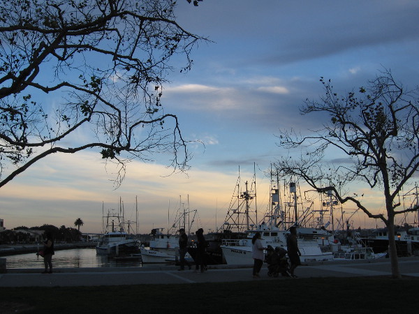 Day nears an end. The fishing boats at Tuna Harbor quietly float beneath a changing sky.