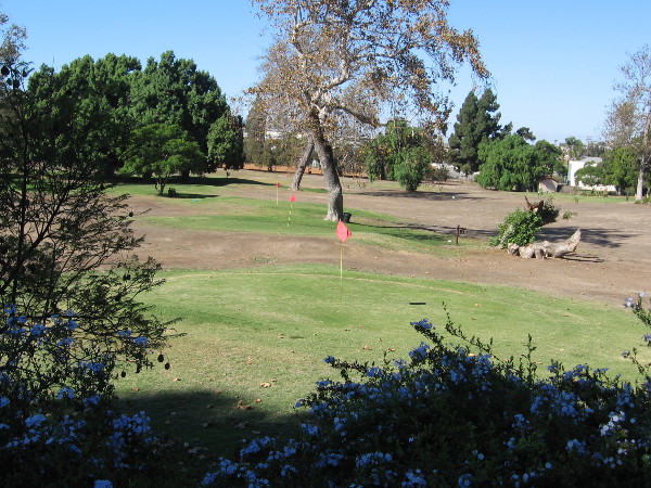 Another look across the small, easy golf course. The course appears to be a bit neglected. Regrettably, I saw no players out on a Sunday afternoon.