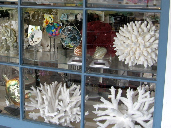 Coral and other beautiful objects in a window of Seaport Village Shell Co. Limited.